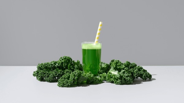 Healthy Green Juice Untuk Diet